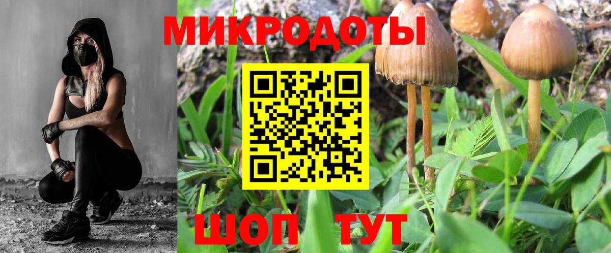 Галлюциногенные грибы Psilocybine cubensis  Вход с VPN  Россошь 