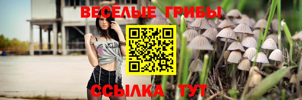 Галлюциногенные грибы ЛСД Россошь